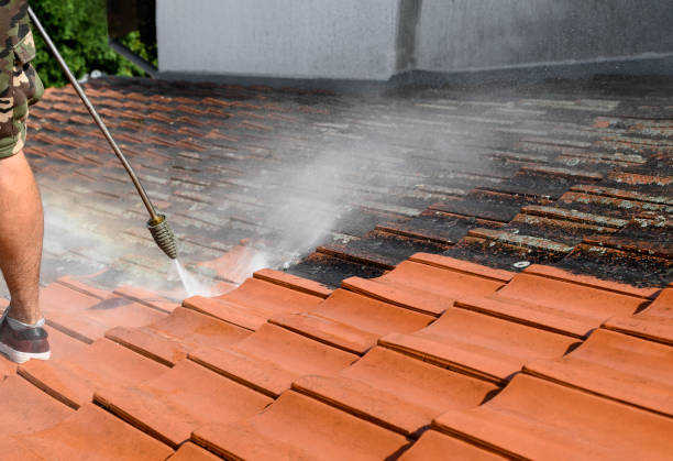 Best Affordable Power Washing  in Burleson, TX